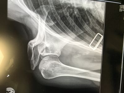 Windsurfing is fun.... but ....